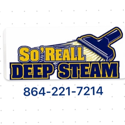 So'reall Deep Steam Carpet Cleaners's photo