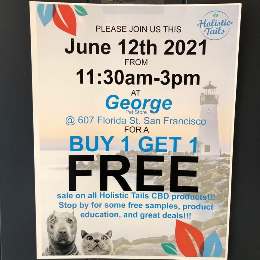 Events sm campaign image for GEORGE