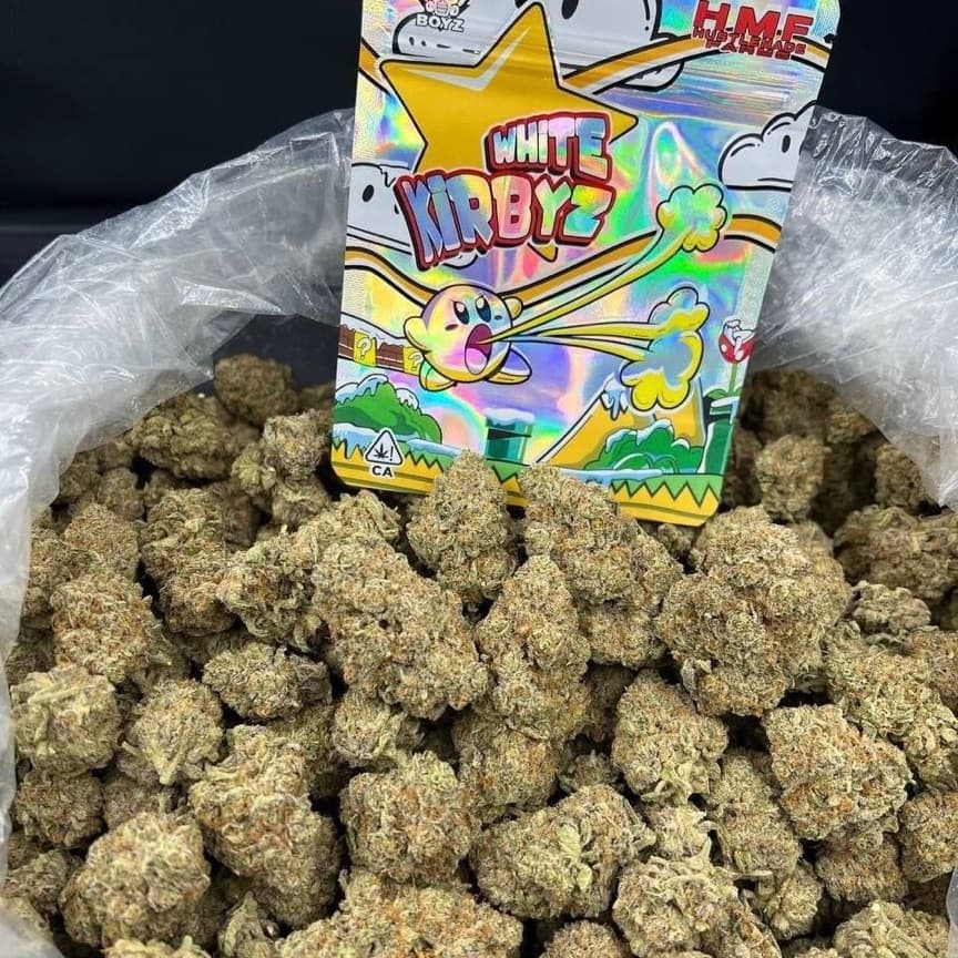 Hot Items sm campaign image for Cooker