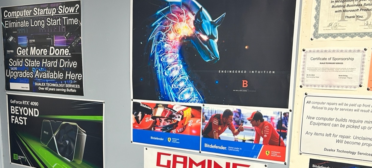 Dualex Technology Services LLC banner