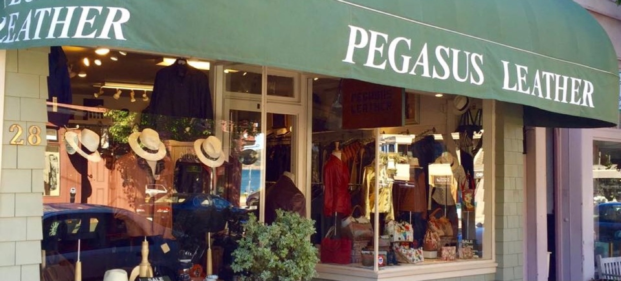 Pegasus Leather banner