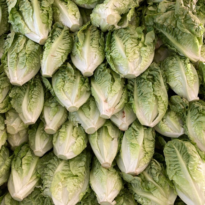 News campaign image for Berkeley Farmers' Markets