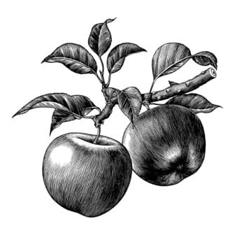 Slice of Sausalito' logo
