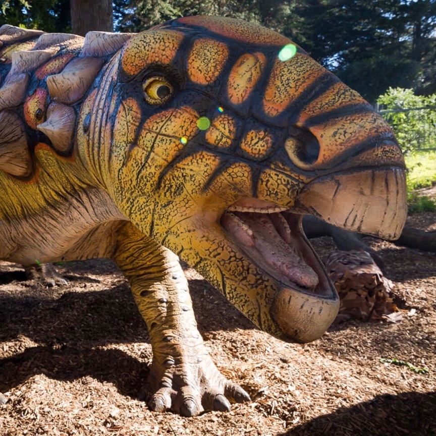 Exhibits campaign image for California Academy of Sciences