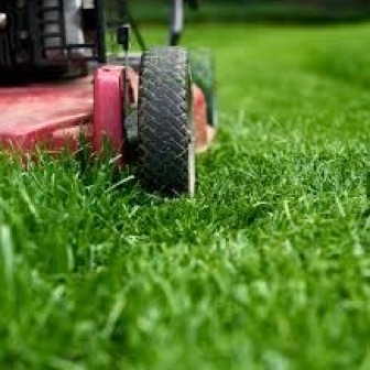 Anthony's Lawn Care/Snow Removal's logo