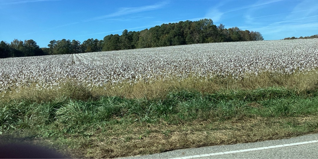 McCarty Enterprises banner