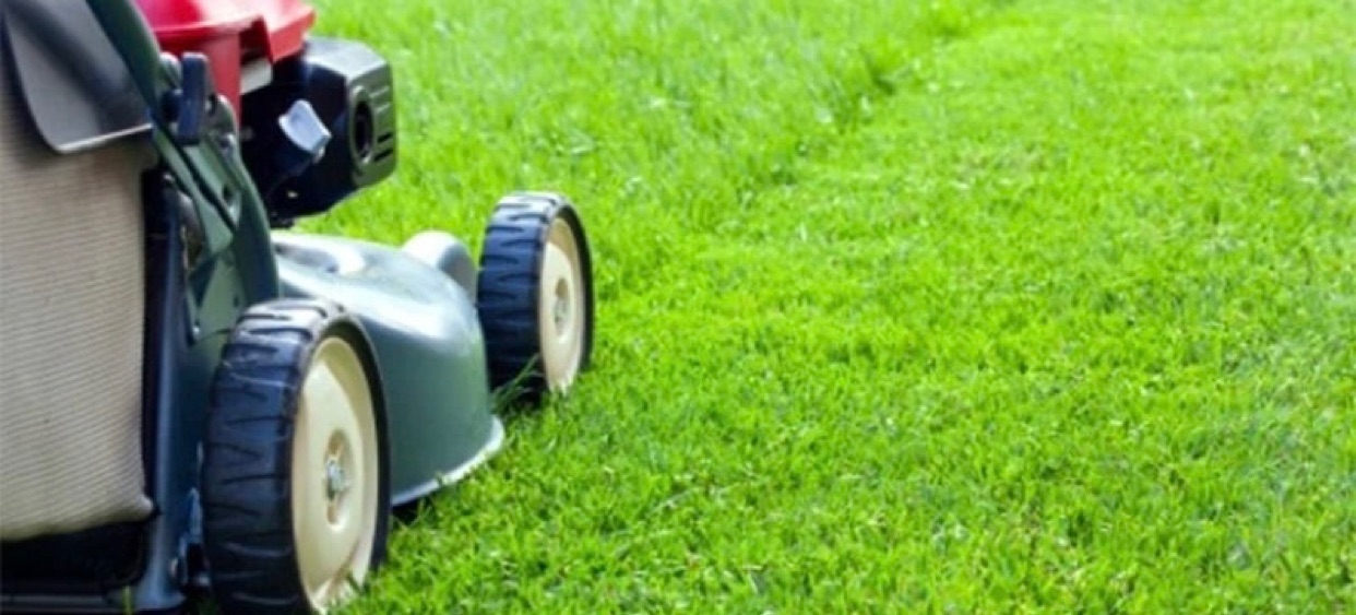 Anthony's Lawn Care/Snow Removal banner
