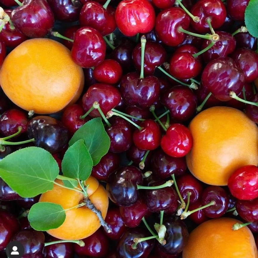 News campaign image for Berkeley Farmers' Markets